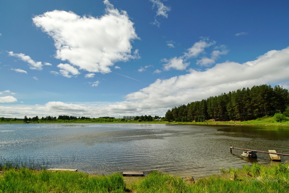 *** - Николай Гирш