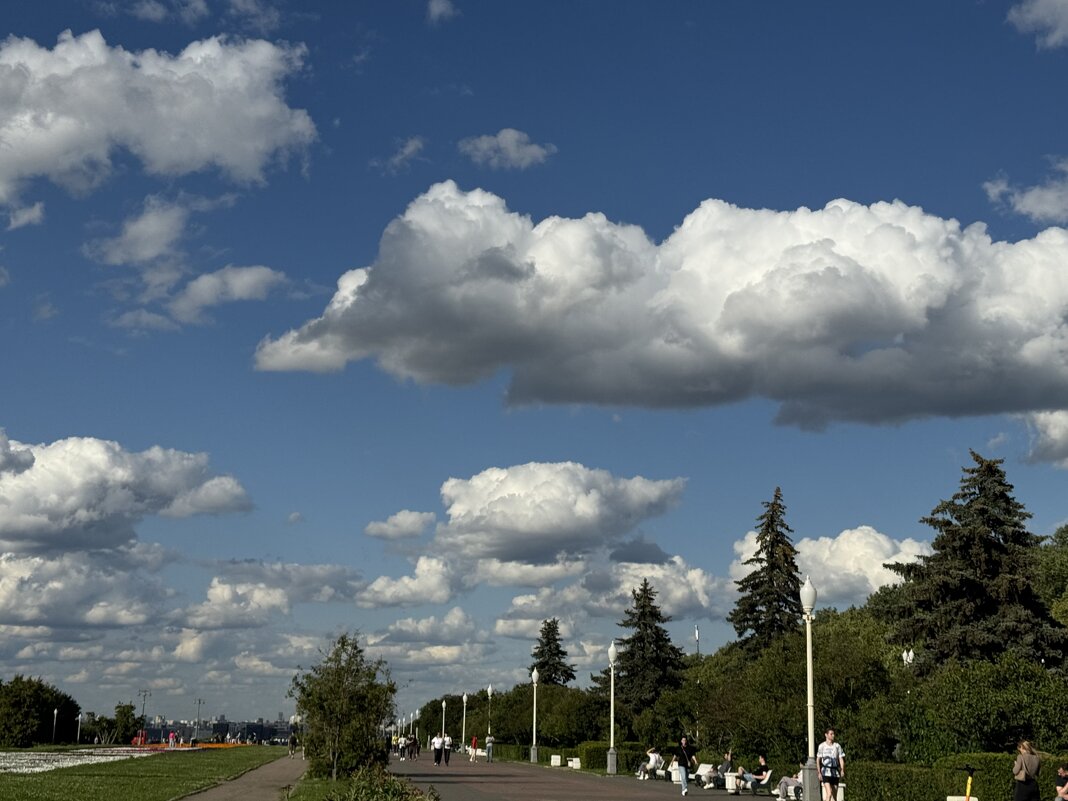 Облака - Анна Камс