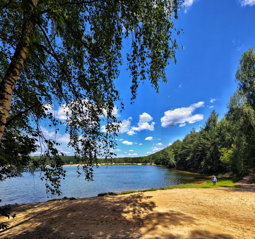 ***** - Алексей Архипов