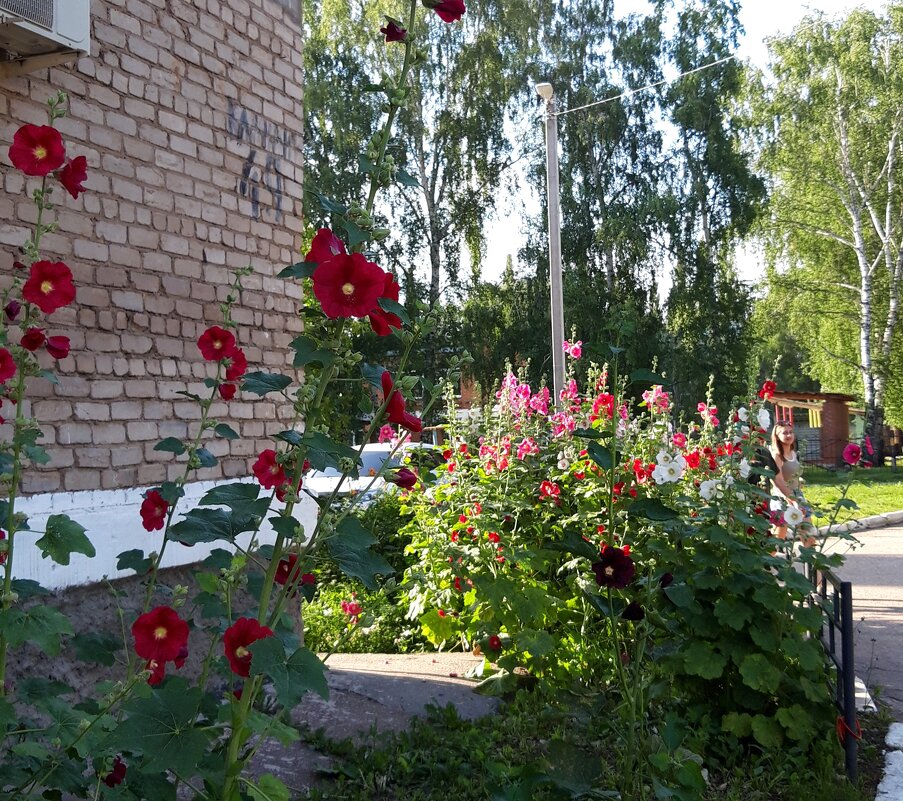 Лето. - Венера Чуйкова