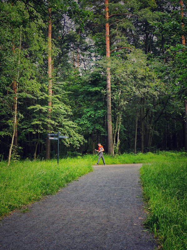 ***** - Алексей Архипов