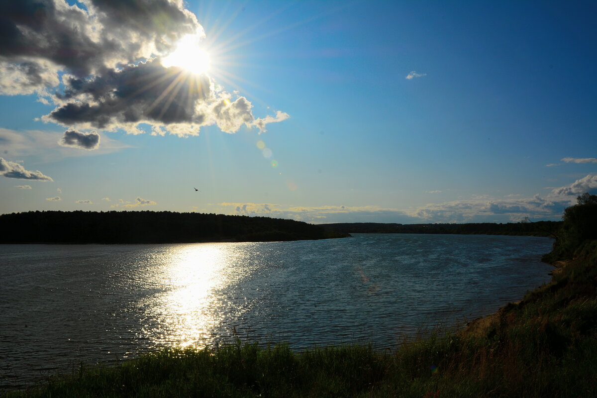 Июль. - Михаил Колосов 