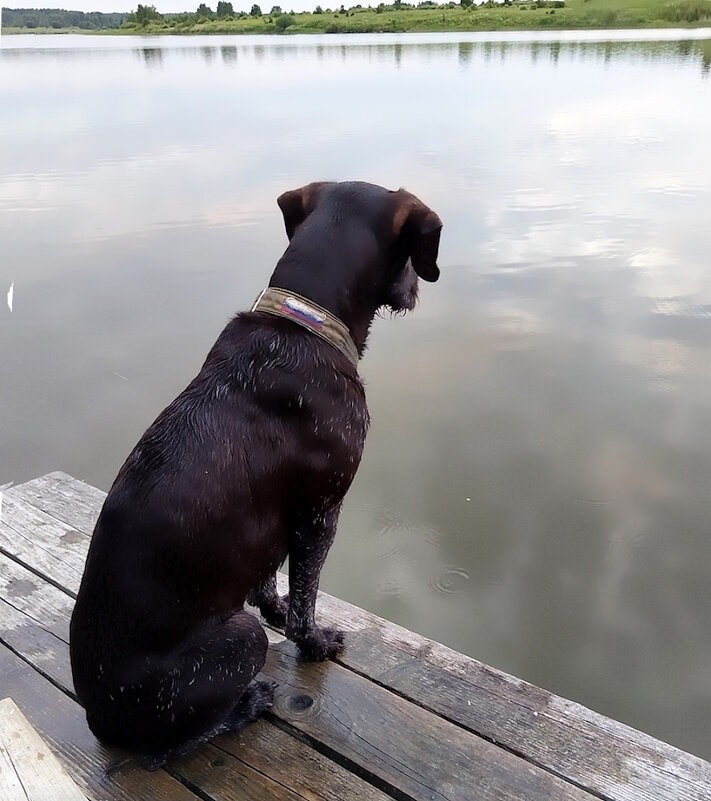 Хантер на пристани. - Ольга Довженко