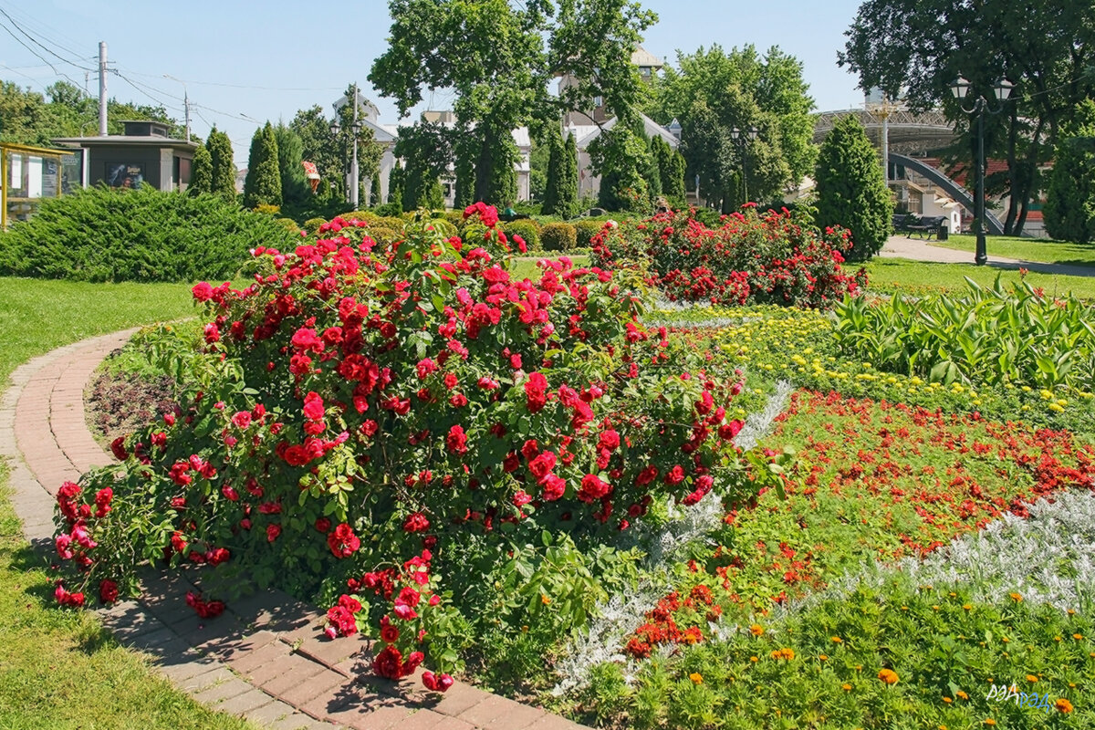 *** - Роланд Дубровский