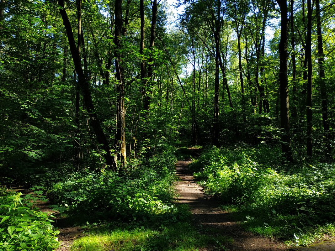 Июль как он есть - Андрей Лукьянов