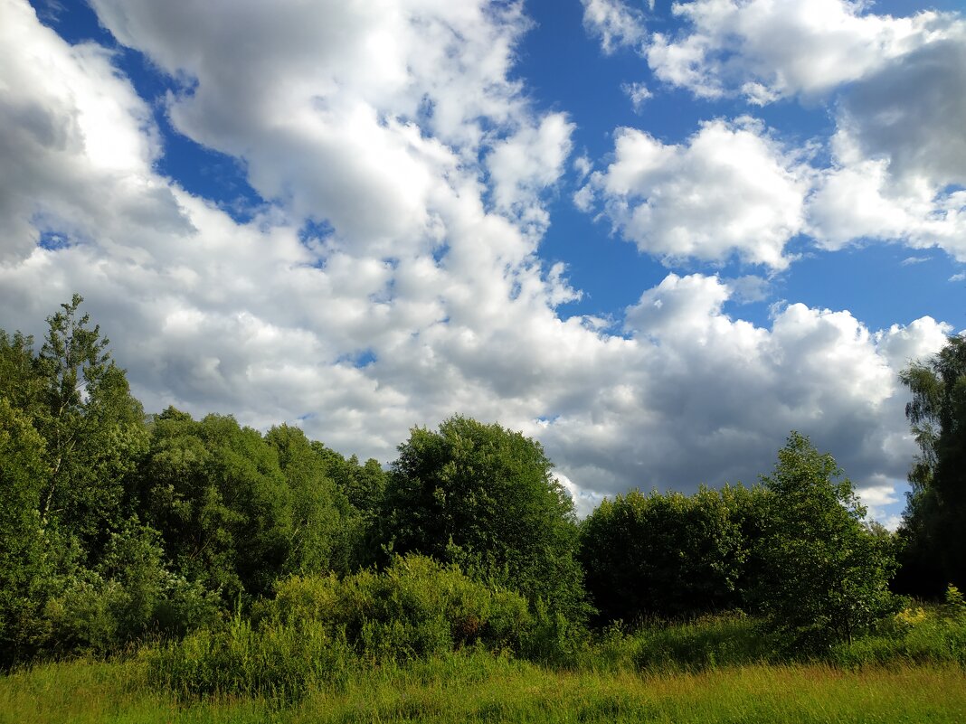 Июль как он есть - Андрей Лукьянов