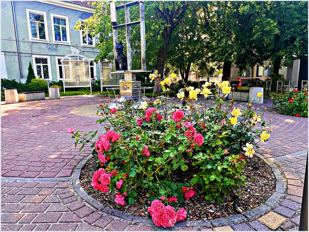 Прогулка по Зеленоградску. - Валерия Комова