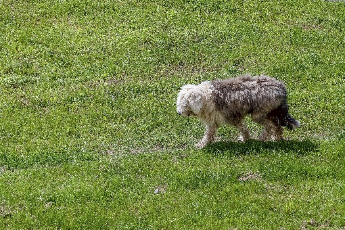 Жарко в такой шубе - Валерий Иванович