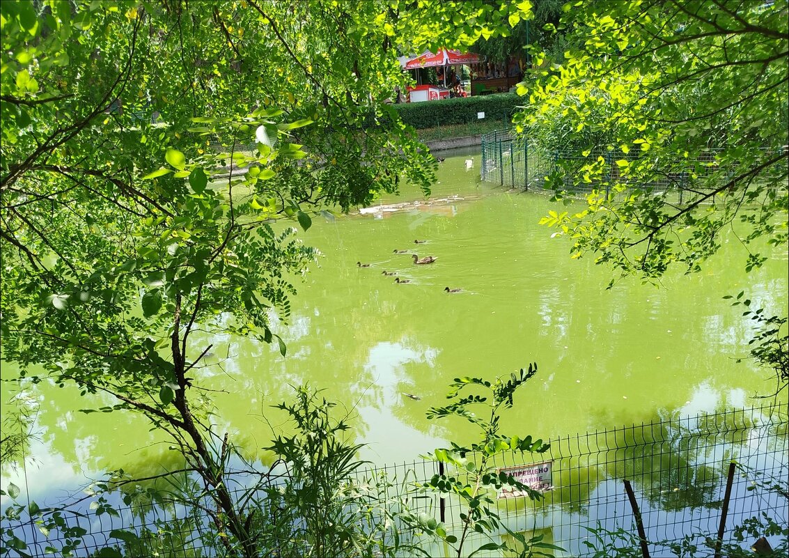 В зоопарке! - Надежда В зоопарке! - Надежда