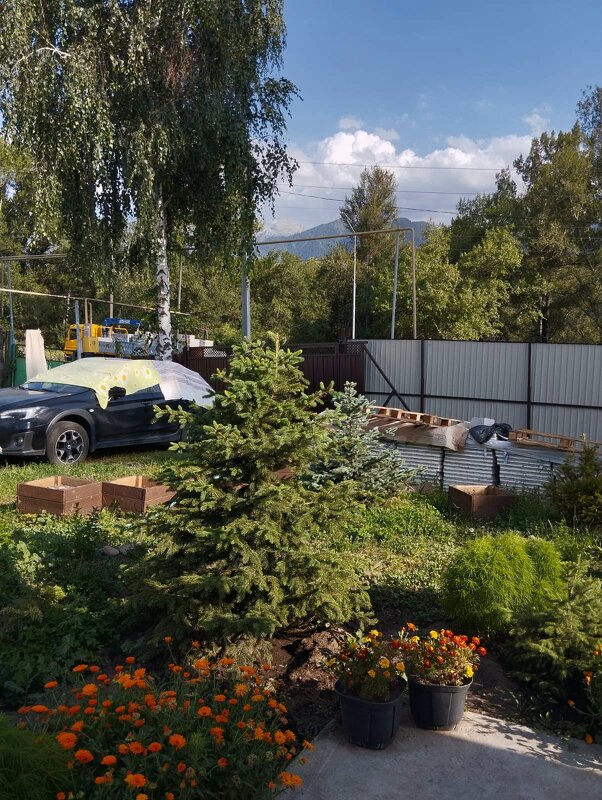 Ak Bulak.  Talgar. - Murat Bukaev 