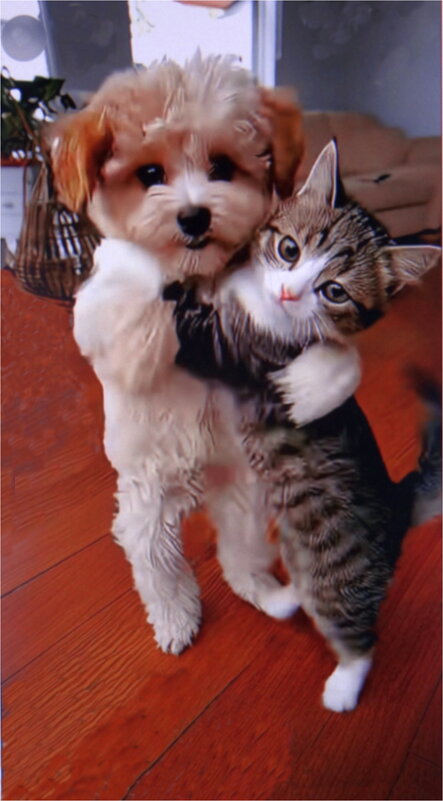 * * * - Юрий Владимирович 34 * * * - Юрий Владимирович 34