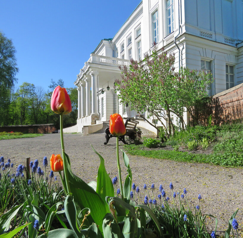 В усадьбе Бобринских - ИРЭН@ . В усадьбе Бобринских - ИРЭН@ .