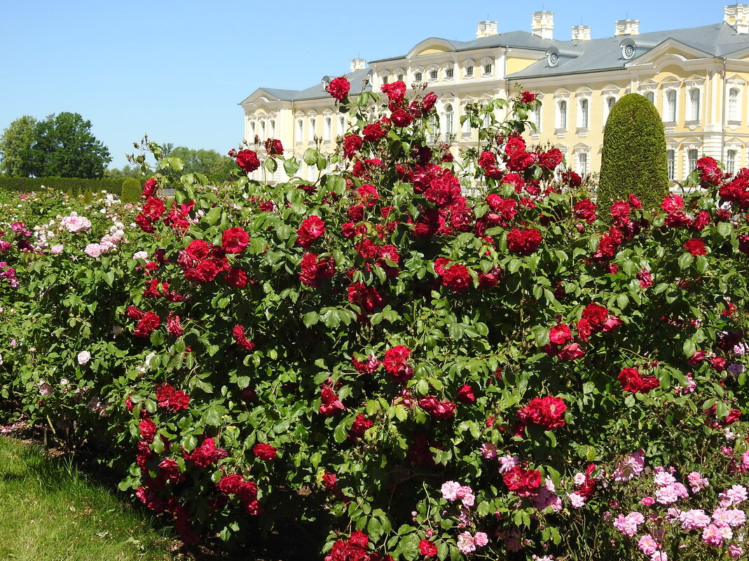 французский парк в Рундале - ИННА ПОРОХОВА французский парк в Рундале - ИННА ПОРОХОВА