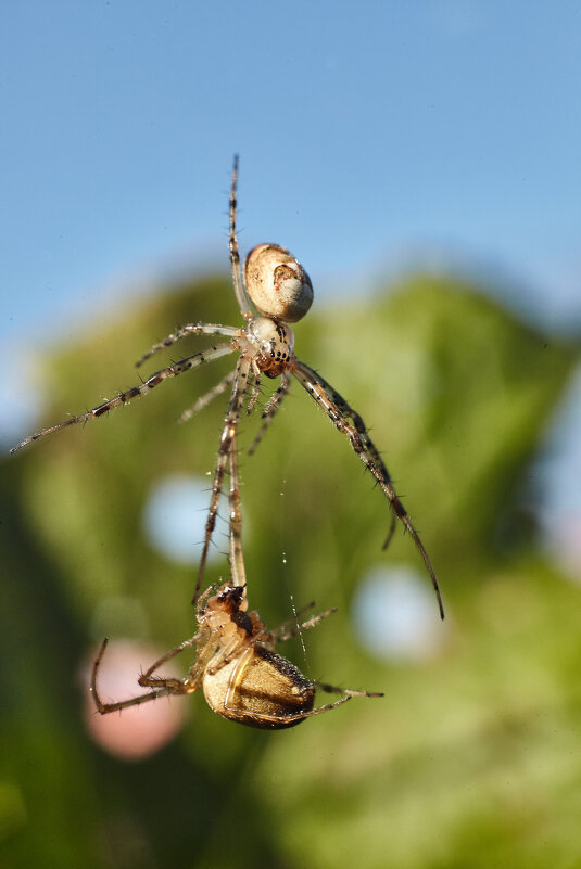 Поединок - Сергей 