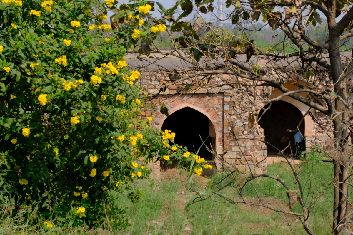 стена старого форта г. Дели - Георгий А