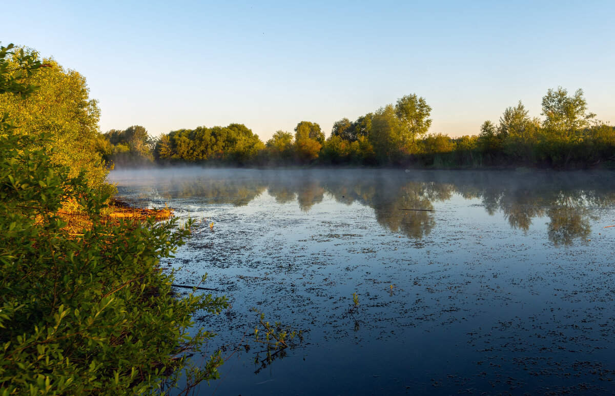 утро на пруду - Виталий Емельянов