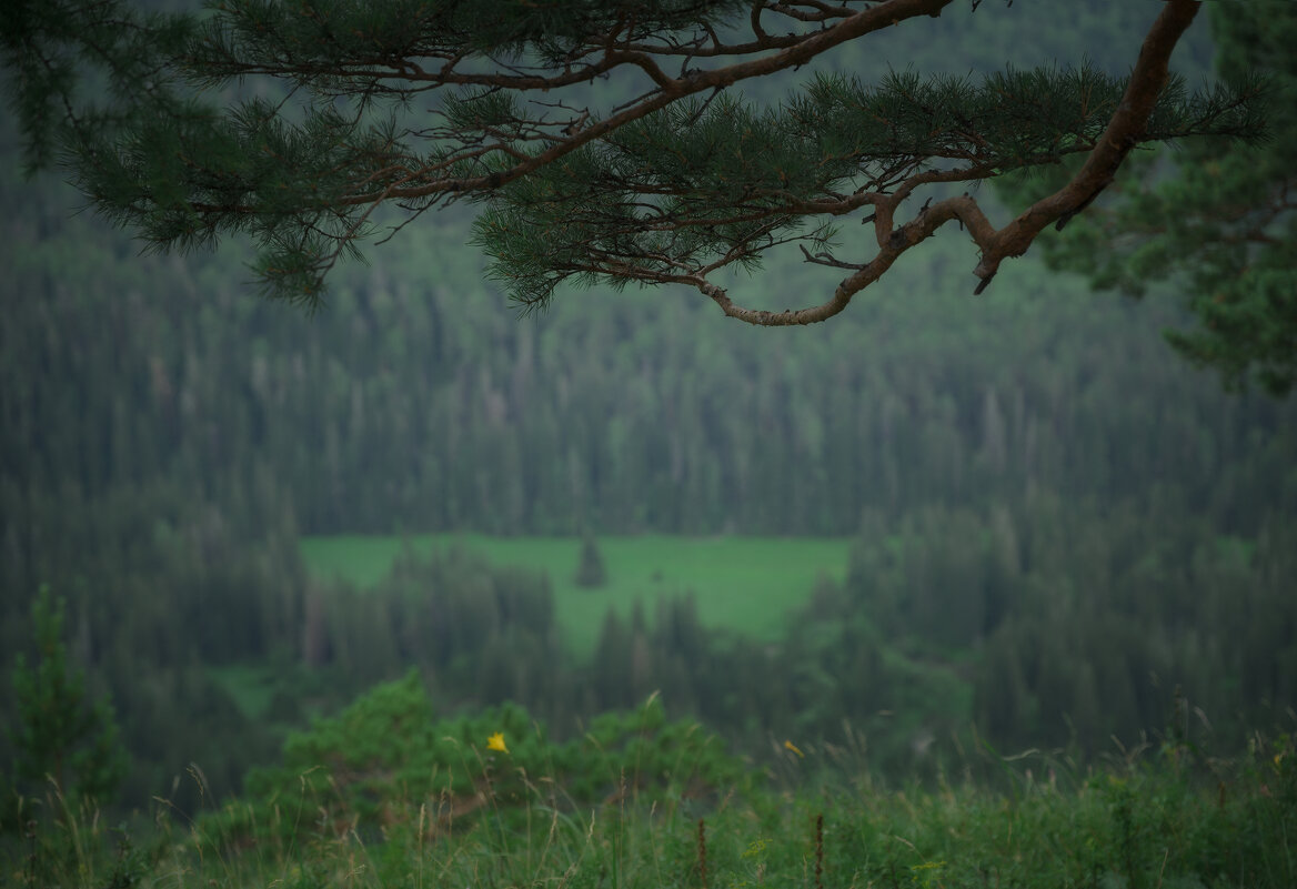 * - Александр Иванов