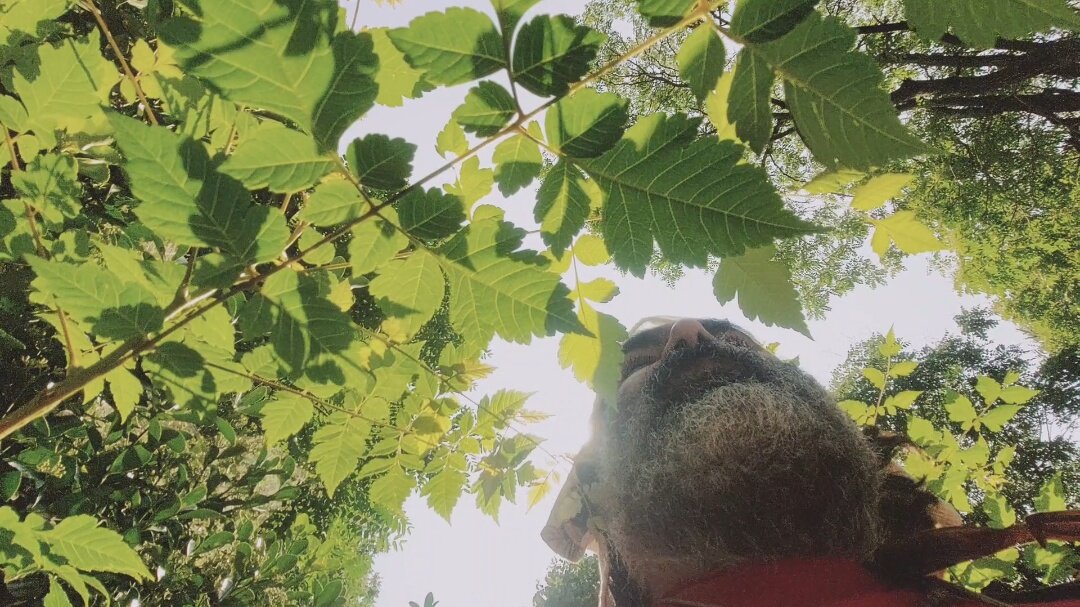 ЛЕ БО 3 (42) - CLOSE WAYS ALL