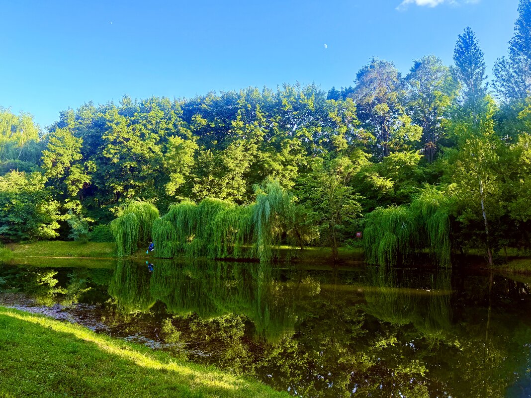 Краски лета - Iren Brilliance