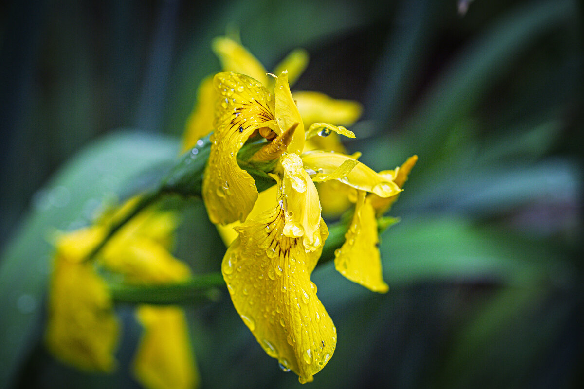 он следит за тобой - Александр Александр