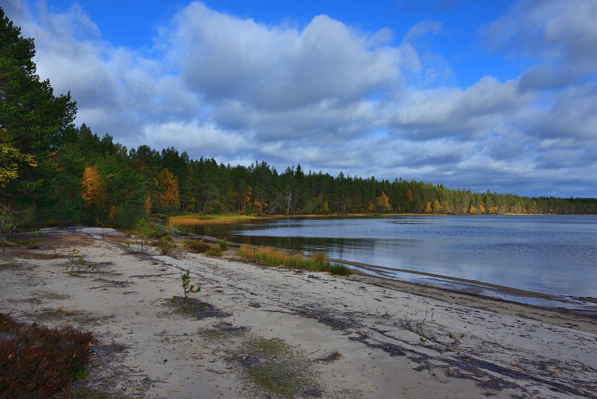 *** - Александр Хаецкий