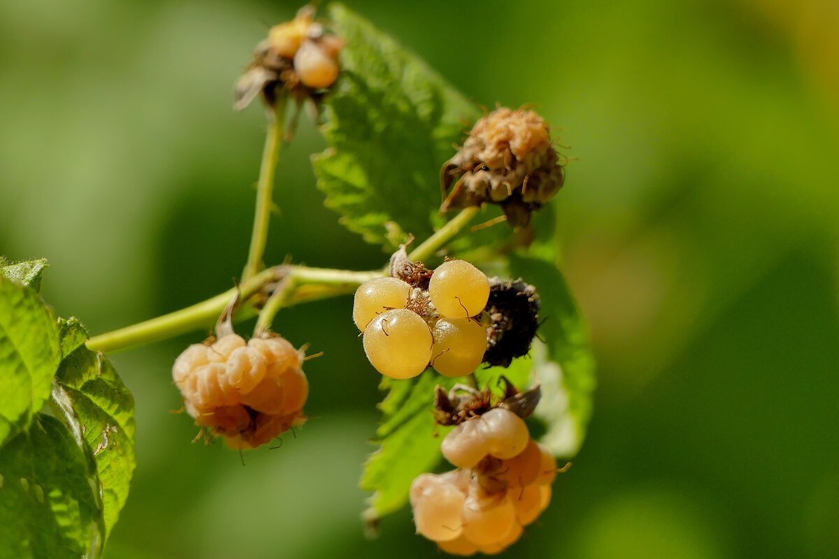 Из снятого сегодня 2 - Александр Прокудин