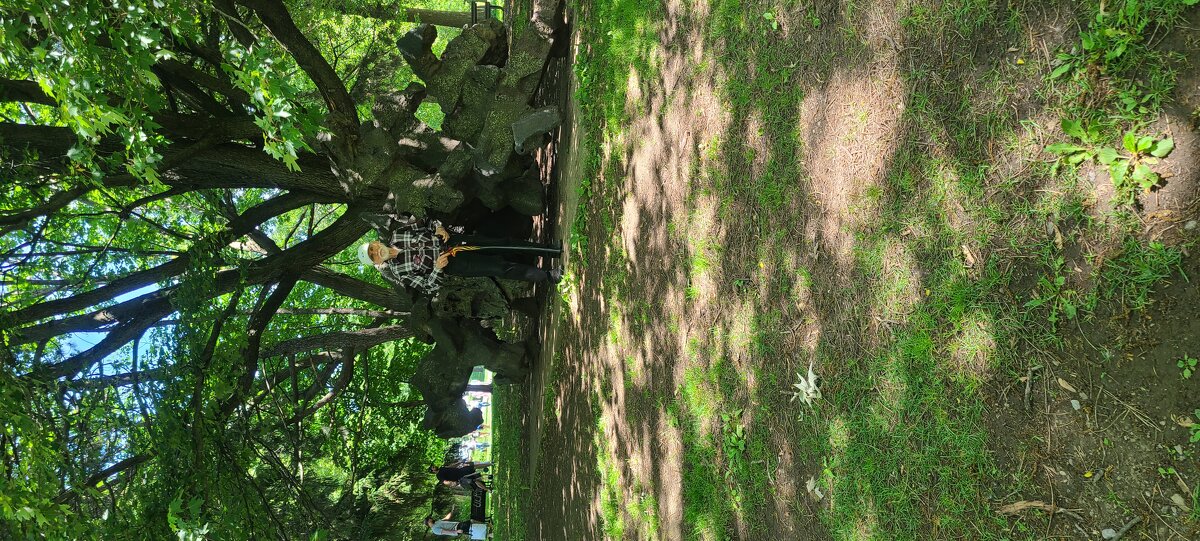 МОИ  ЗВЕРИ  НА  ВОЛЕ ! :) - Валерий Кокорев