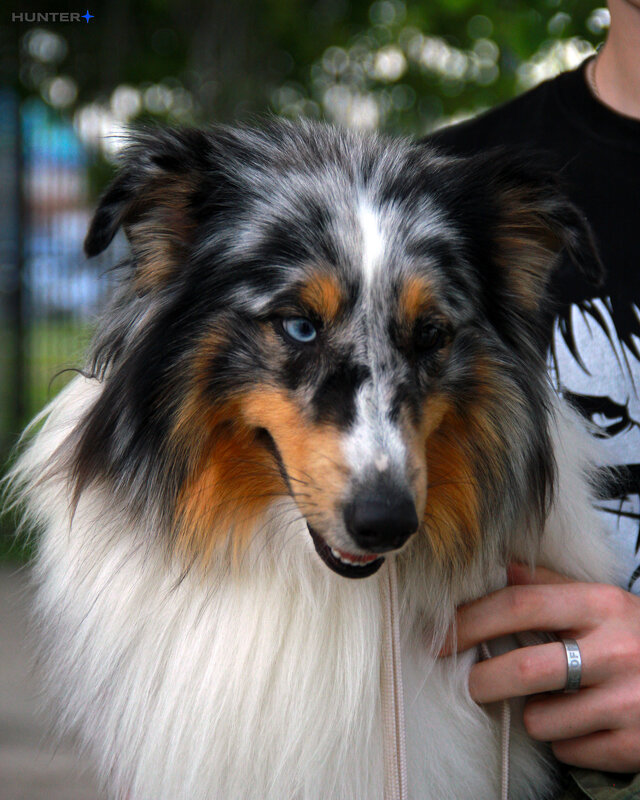 Каспер - Полина Лопатина (Hunter)