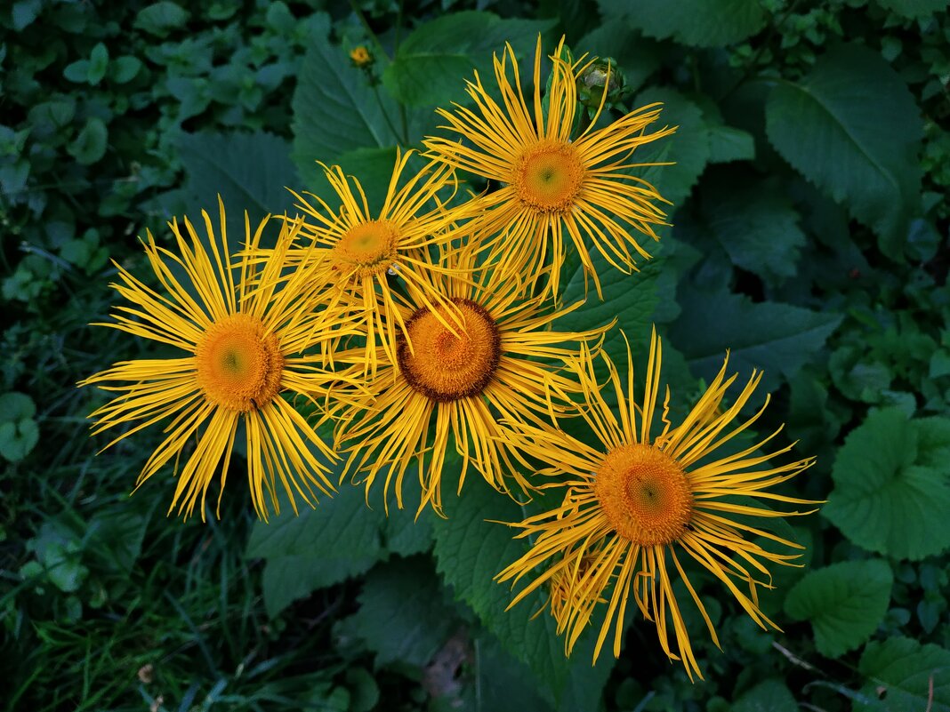 То, что рядом с нами - Андрей Лукьянов
