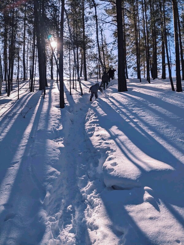 Зимний лес - Георгиевич 