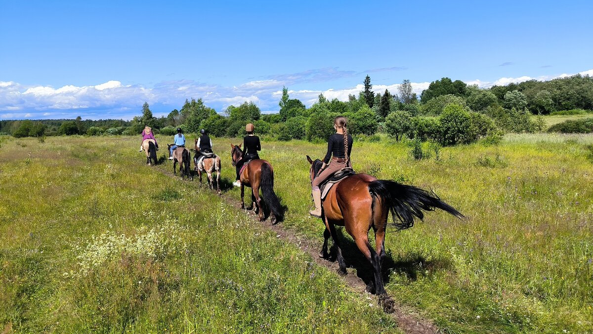 Лето, будь со мной! - Ольга 