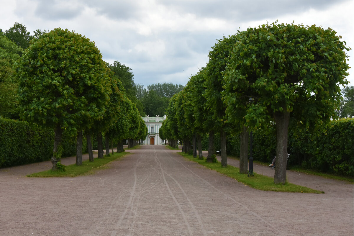 Москва. Усадьба Кусково. Аллеи. - Наташа *****
