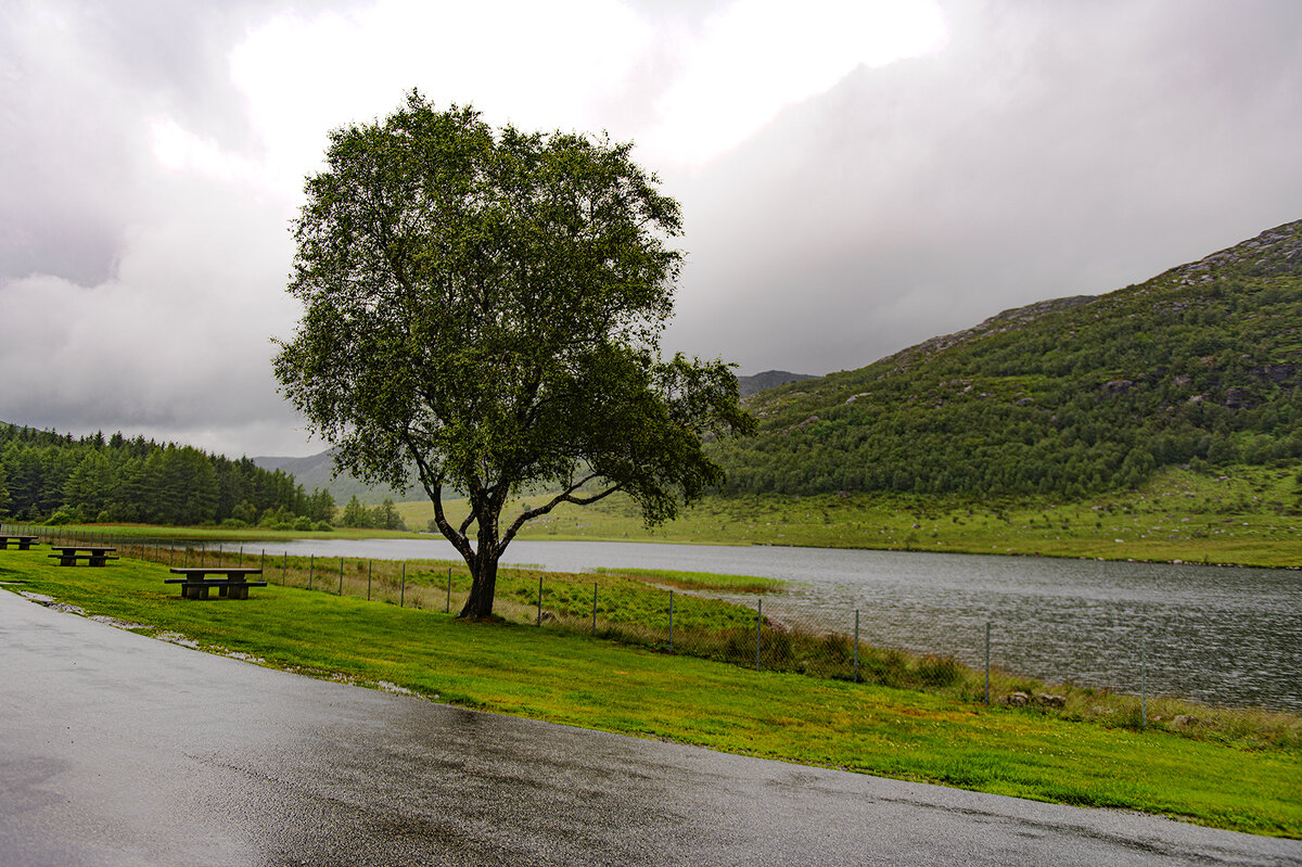 Зона отдыха пуста: дождик моросит - Roman Ilnytskyi