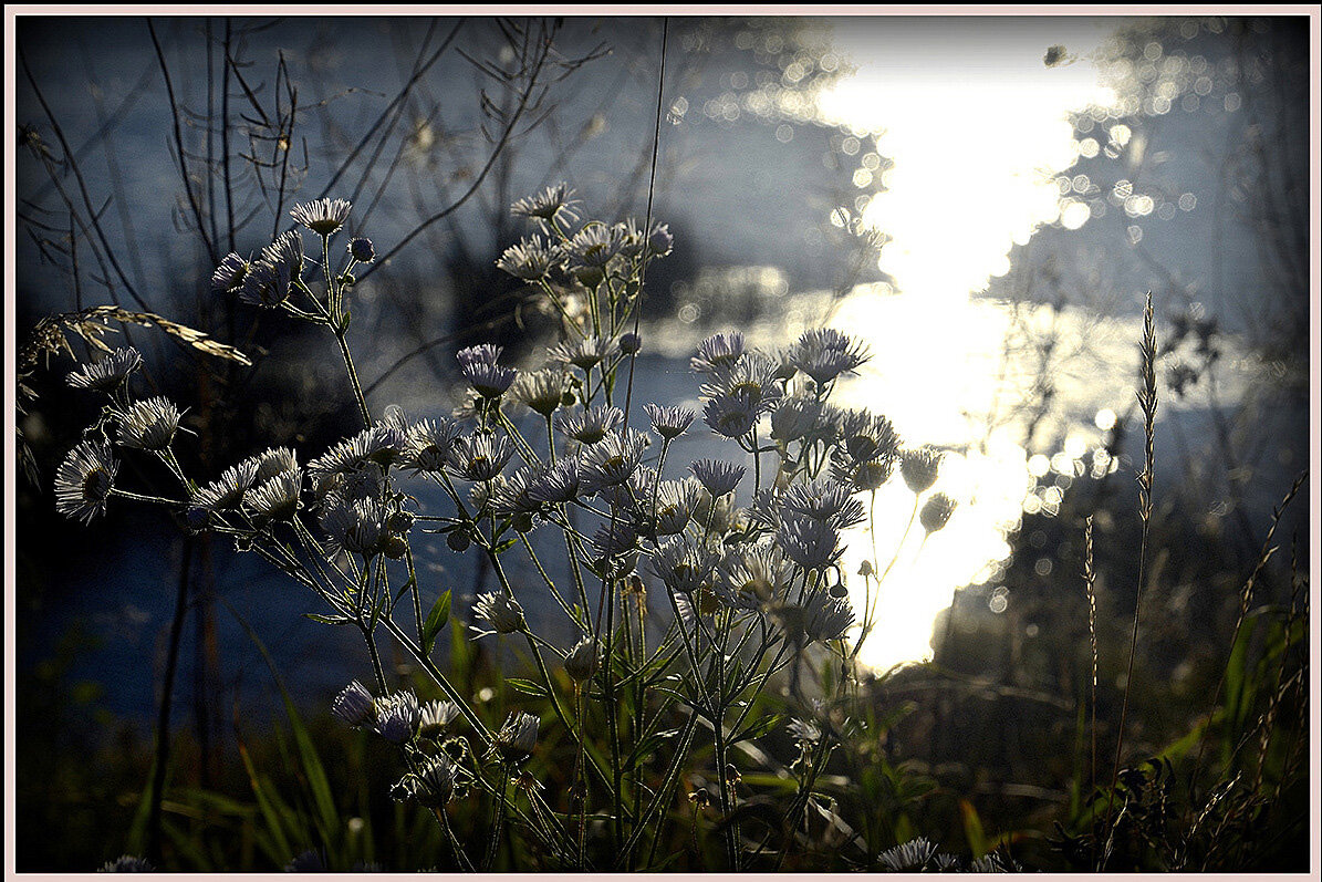 Вечерний этюд - Aleksandr Gal Вечерний этюд - Aleksandr Gal