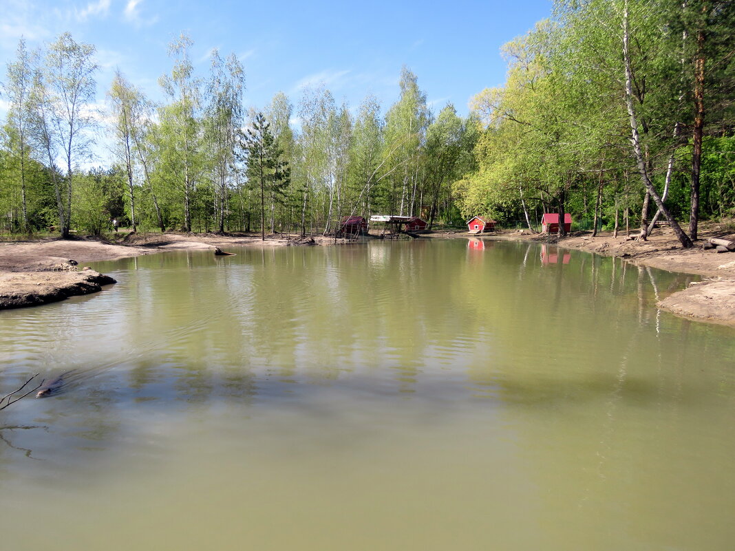 Озеро нутрий - ИРЭН@ . Озеро нутрий - ИРЭН@ .