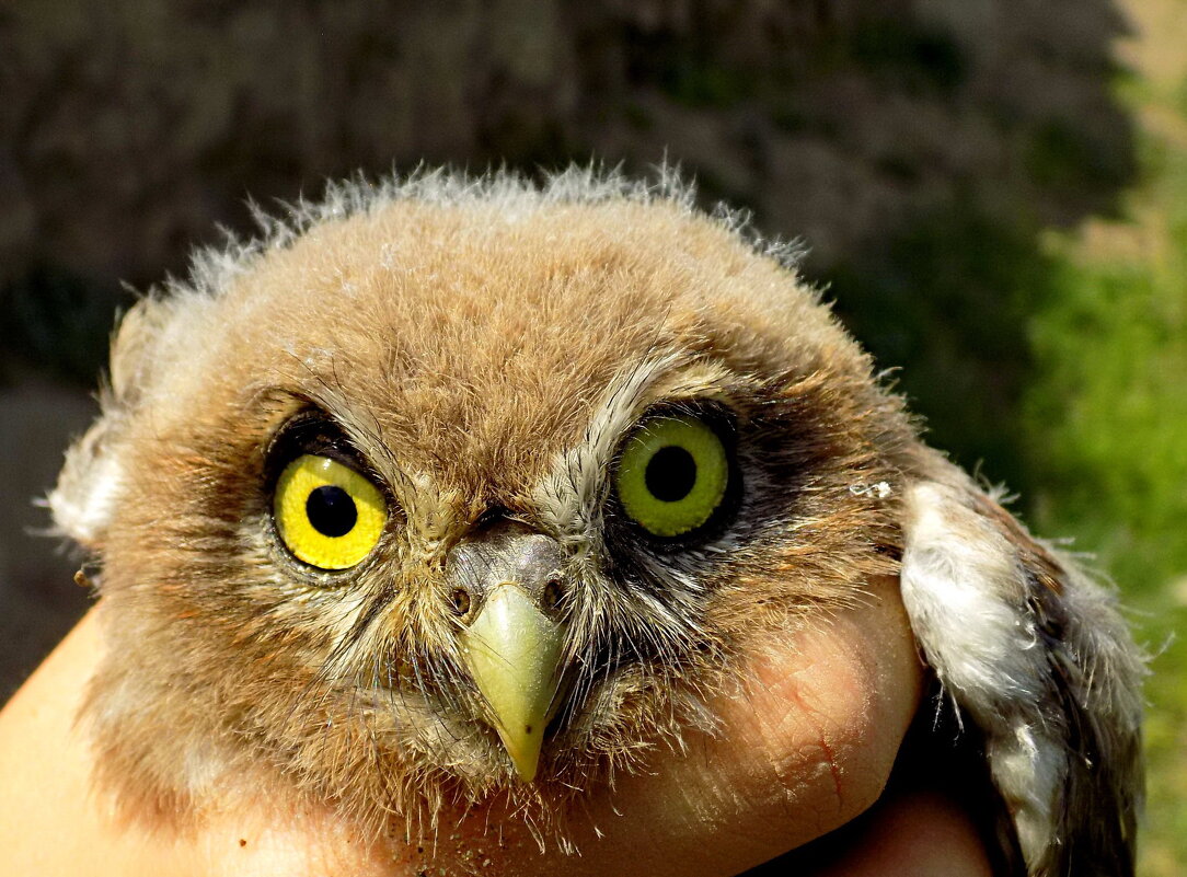 Посмотри в глаза... - Константин Штарк Посмотри в глаза... - Константин Штарк