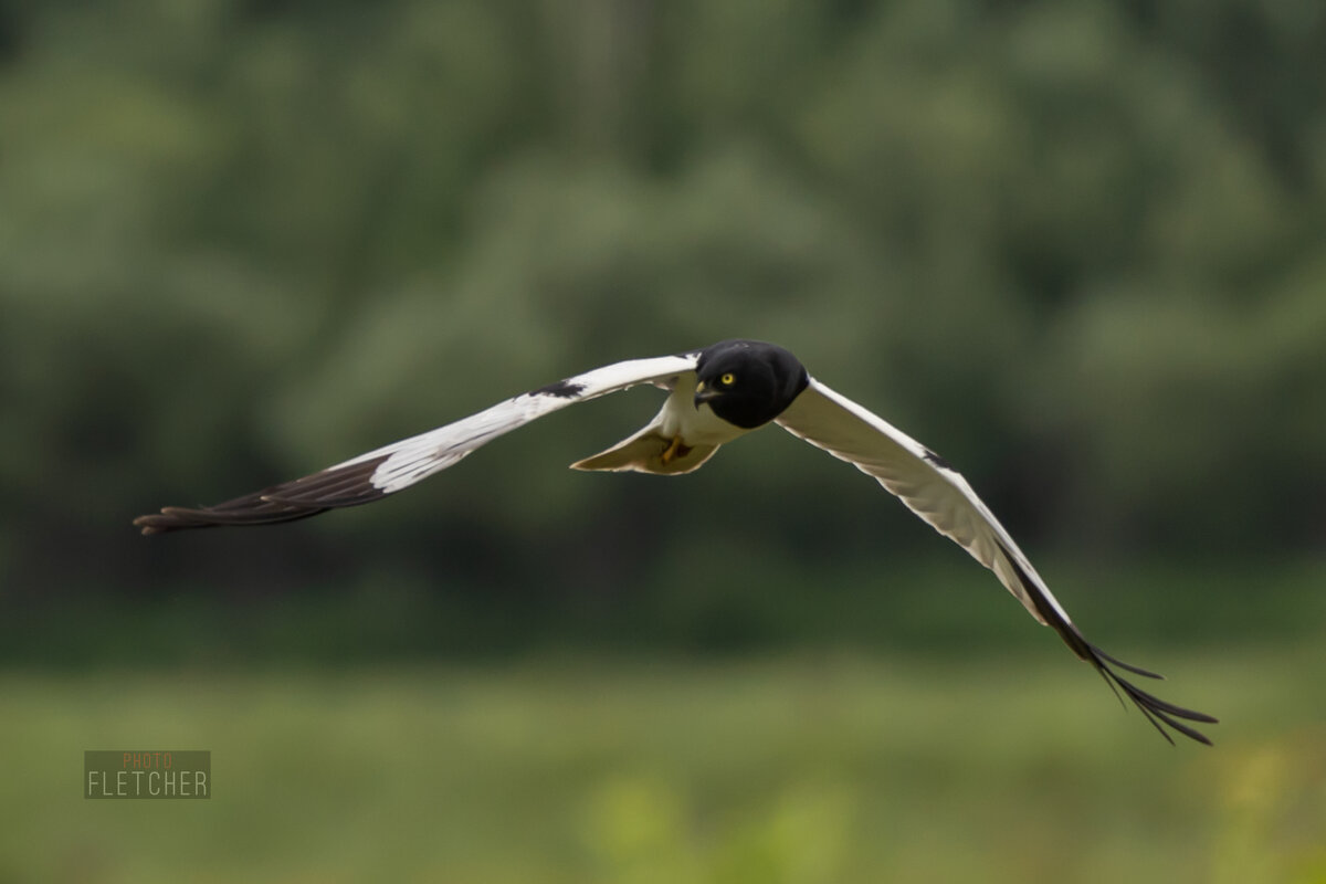 4 - Сергей Флетчер