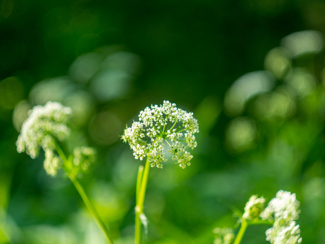 ___ - Yuriy V ___ - Yuriy V