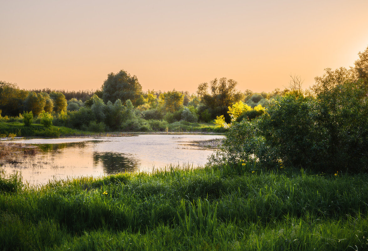 Вечер последнего для весны - Валерий VRN