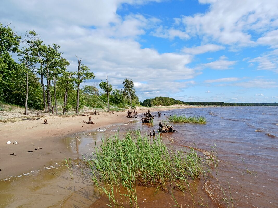 Всё дальше и дальше от пляжа с народом. - Лия ☼