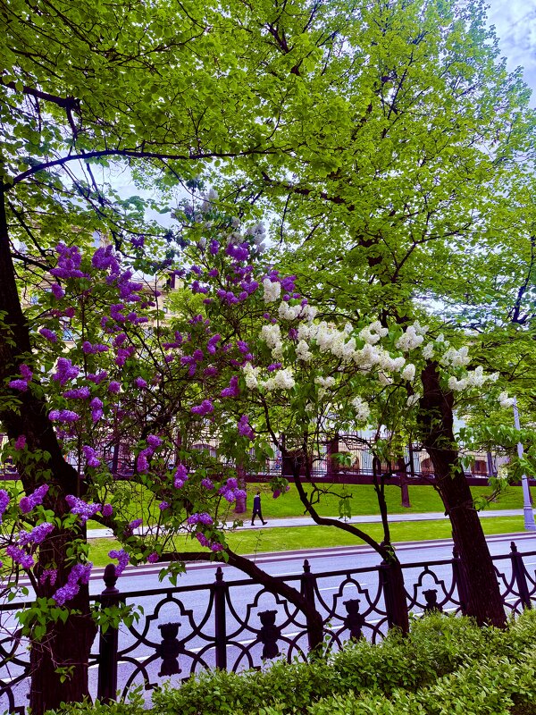 Летние краски - Iren Brilliance Летние краски - Iren Brilliance