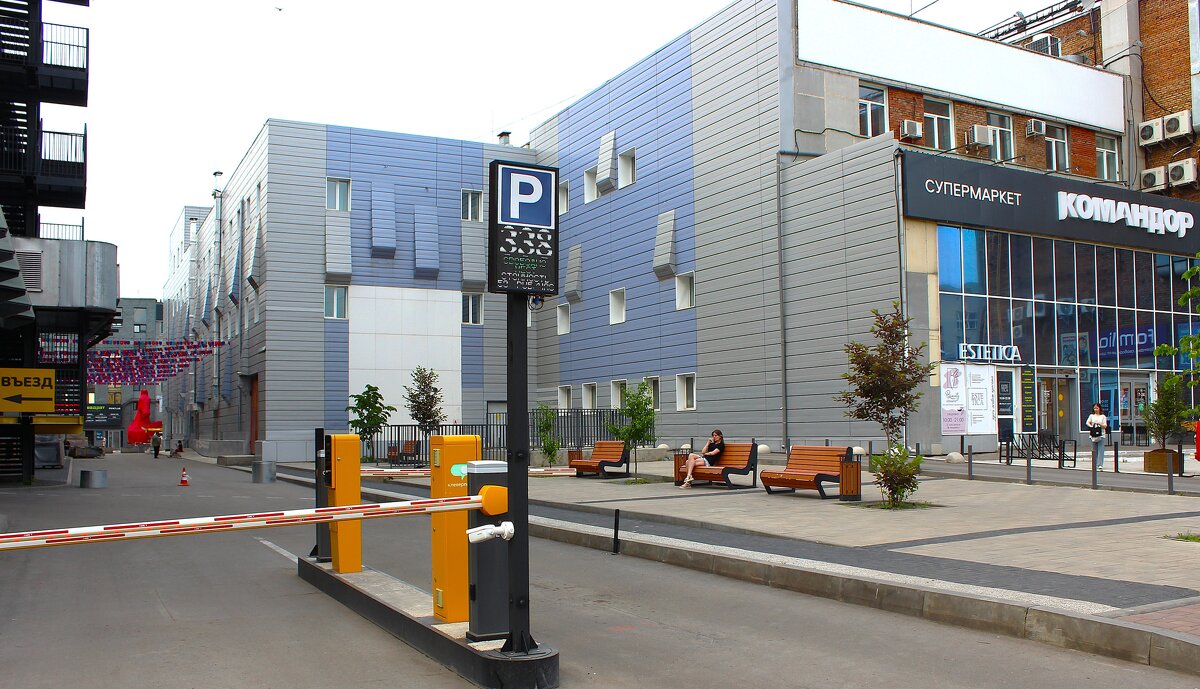 Прямизна - Василий 