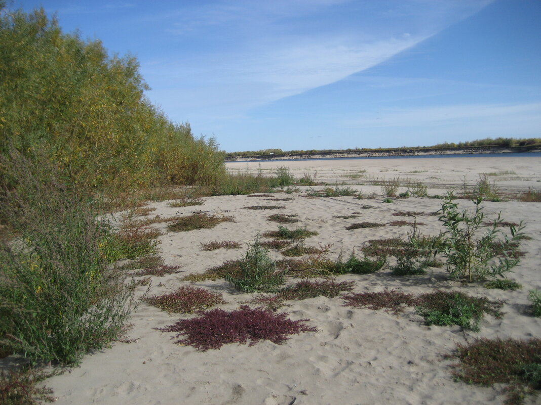 Осень - Anna Ivanova