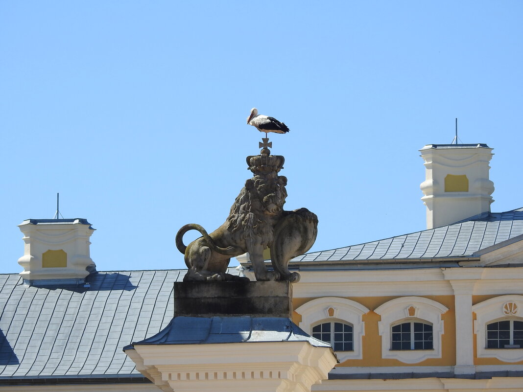 французский парк в Рундале - ИННА ПОРОХОВА французский парк в Рундале - ИННА ПОРОХОВА