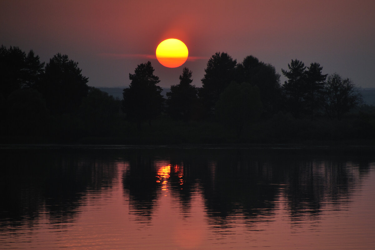 Ярило - Марина Виноградова