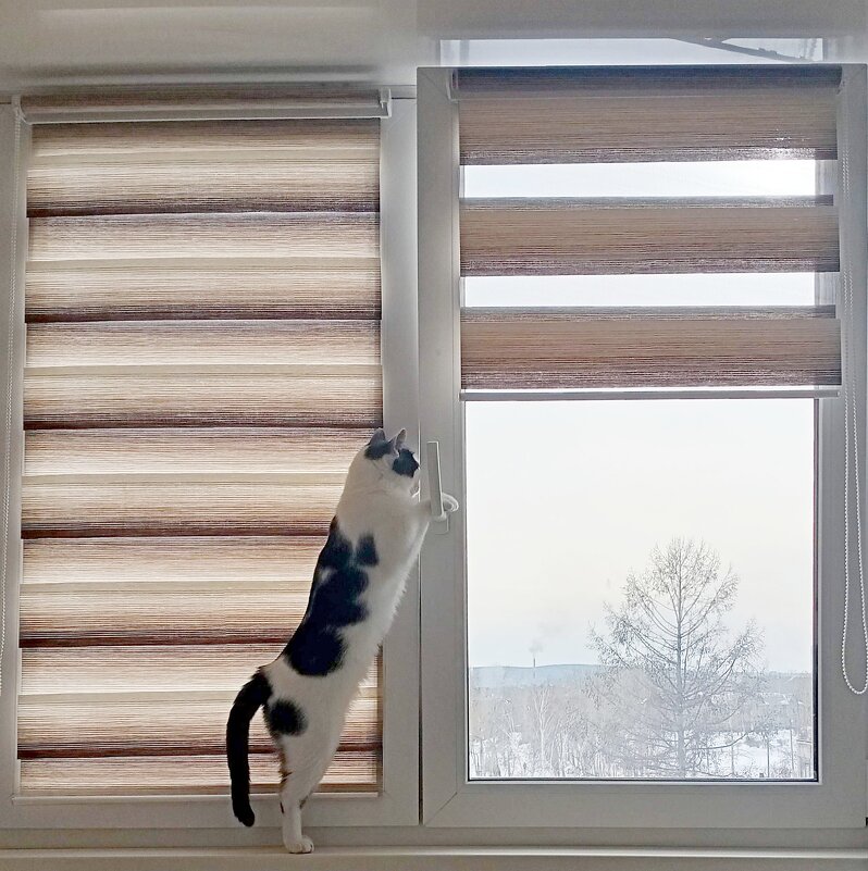 Запахло... Весной?) - Ирина *