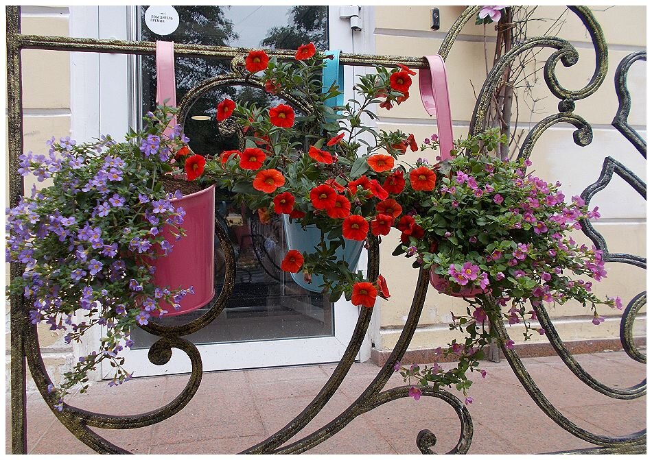 Городские цветы - Alisia La DEMA