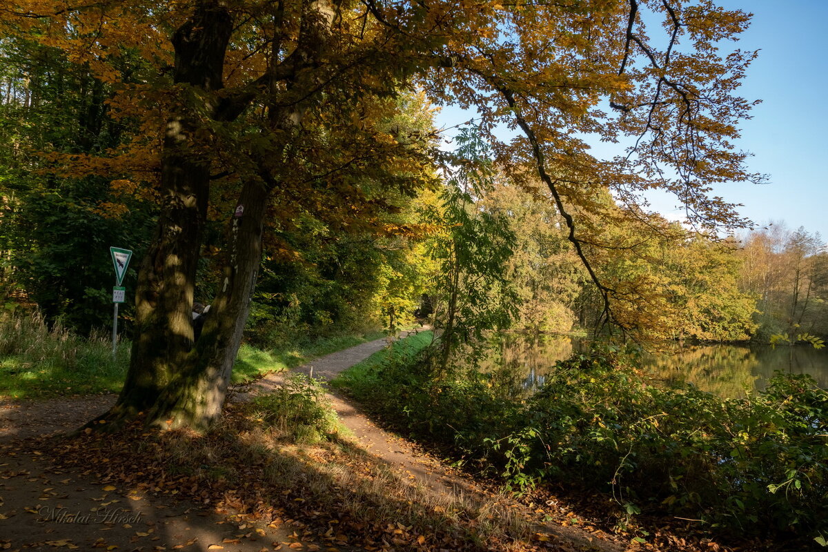 У перекрёстка... - Николай Гирш