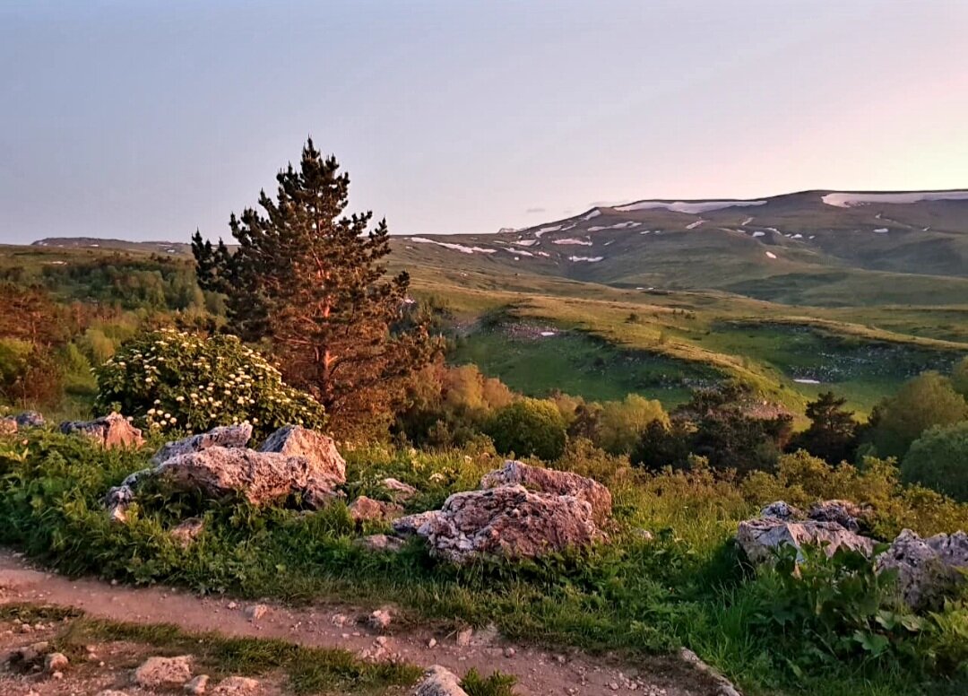 ПЛАТО ЛАГОНАКИ - Tata Wolf