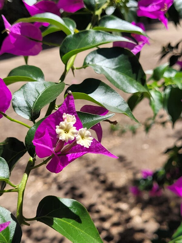 Просто красота! - Светлана Хращевская